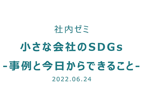 社内ゼミ「小さな会社のSDGs」を開催しました